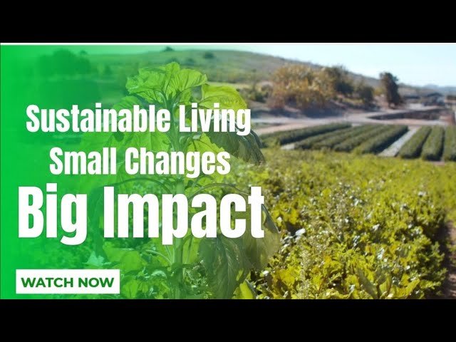 How Small Changes Can Lead to Big Sustainability Results